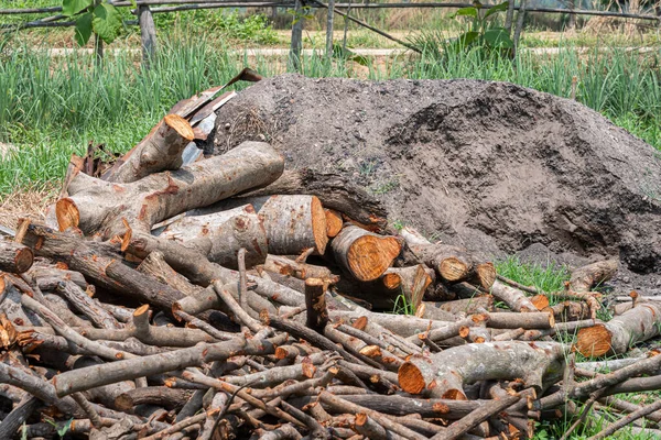 Evdeki odun yığınına sahip kütük orman ormanlarında saklanıyor ormandaki yeşil biyokütle enerjisi.