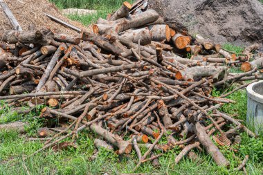 Evdeki odun yığınına sahip kütük orman ormanlarında saklanıyor ormandaki yeşil biyokütle enerjisi.
