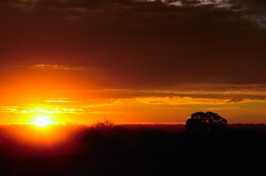 Günün ardından Kıyamet gündoğumu