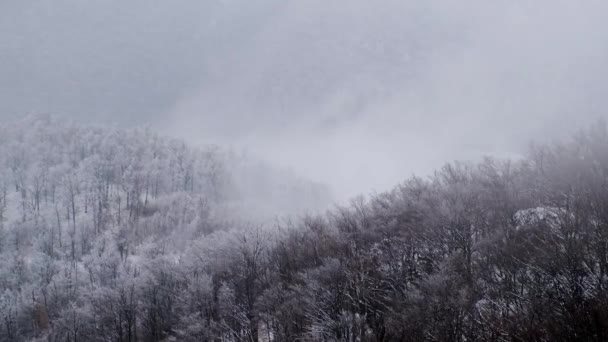 Silné větry v horách sněhu se zvedají k obloze — Stock video