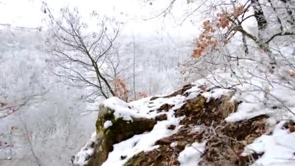 Oigenkännlig vandrare klättrar upp på snöig sluttning i vintern fjällskog. — Stockvideo