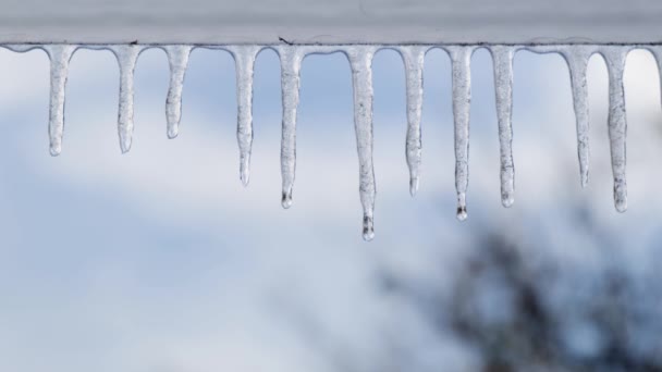 Des gouttes d'eau coulent dans la glace fondante vue de près — Video