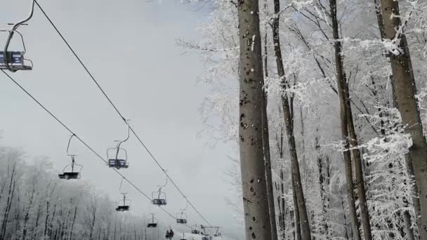 Two-seat cable car on a ski track in the winter snowy forest. — Stock Video
