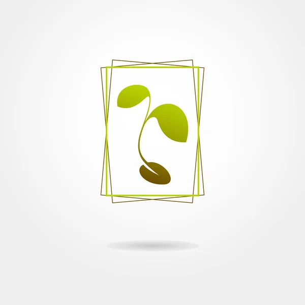 Planta aislada sobre fondo blanco — Vector de stock