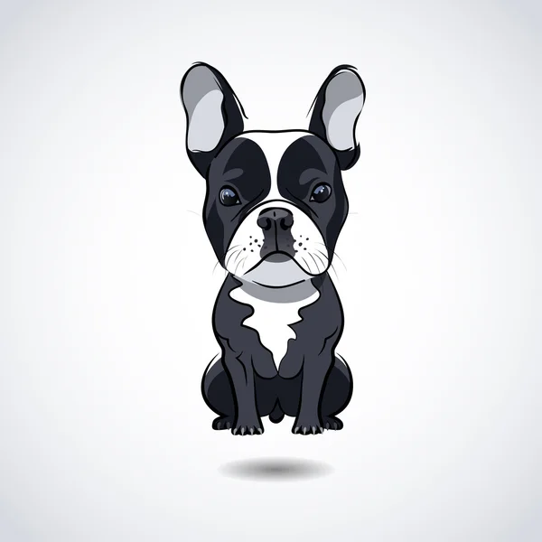 French bulldog isolated on white background — Stock Vector