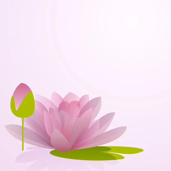 Pink waterlily flower with reflection in water — Stock Vector