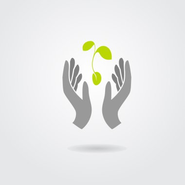 Hands and plant isolated on white background clipart
