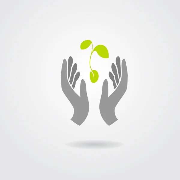 Hands and plant isolated on white background Vector Graphics