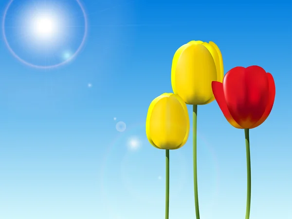 Czerwone i żółte tulipany na tle błękitnego nieba — Wektor stockowy