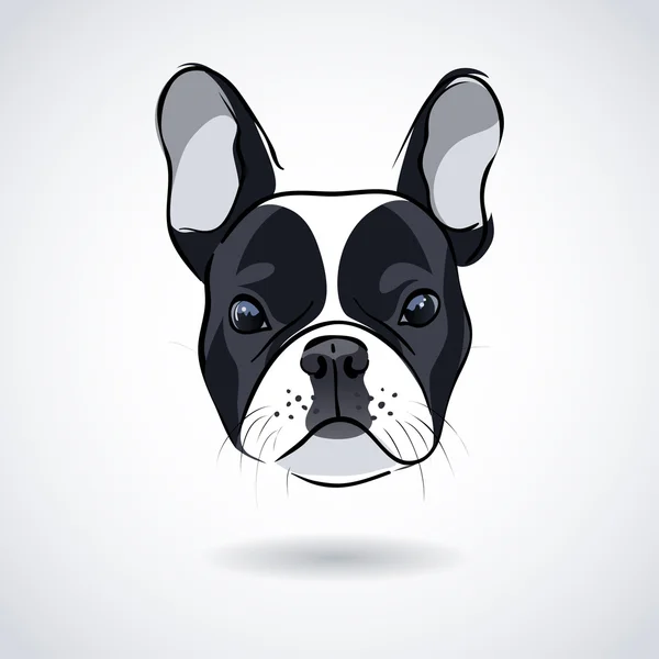 Cabeza bulldog francesa aislada sobre fondo blanco — Vector de stock