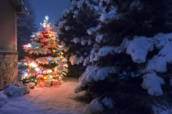 Una fuerte nieve cae en silencio sobre este árbol de Navidad, acentuado por un suave brillo y desenfoque selectivo, que ilustra la magia de esta escena nocturna de Nochebuena . Fotos de stock