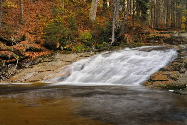 Водопад осенью — стоковое фото
