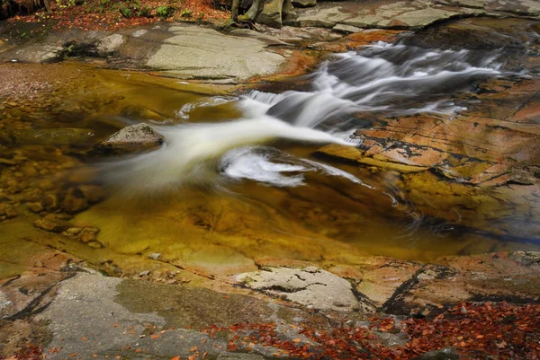 Cascada de río en bosque de montaña — Foto de Stock