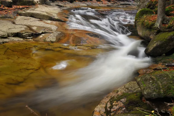 Vilda floden stream med kaskad i höst — Stockfoto
