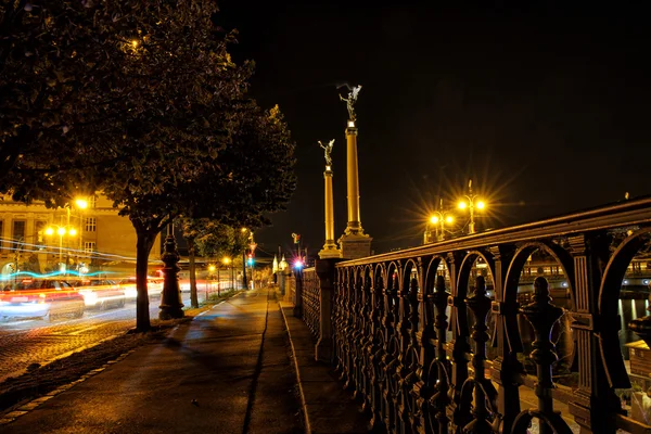 Calle nocturna con árboles y barandillas de acero cerca de la orilla del río . — Foto de Stock