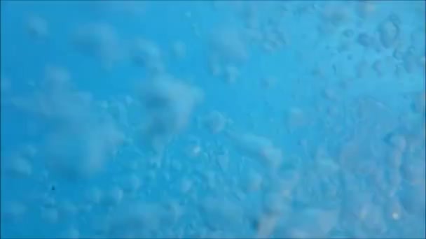 Bulles sous l'eau dans de l'eau bleue propre flottant autour — Video