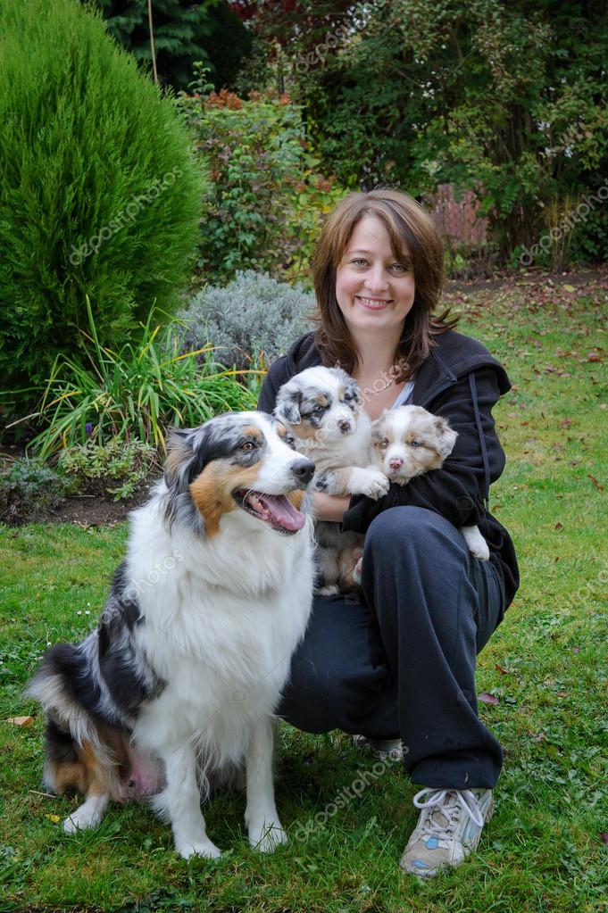 australian shepherd puppy to adult