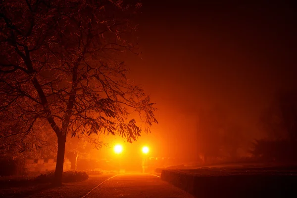 Jalan setapak kosong misterius dalam kabut pagi dengan warna oranye merah — Stok Foto