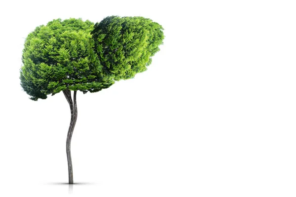 Ilustração Uma Árvore Forma Fígado Ambiente Medicina — Fotografia de Stock