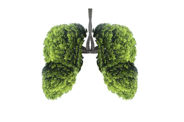 Ilustracja Drzewa Płuc Środowisko Medycyna — Zdjęcie stockowe