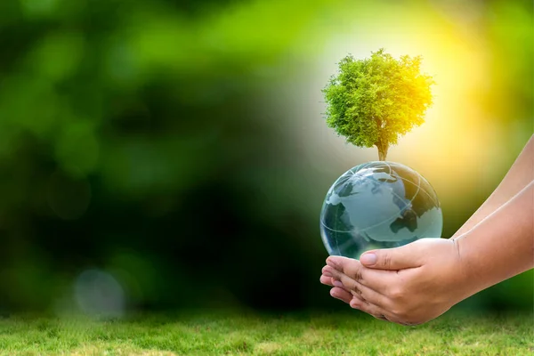 Концепция Возобновляемых Источников Энергии День Земли Защита Окружающей Среды Руки — стоковое фото