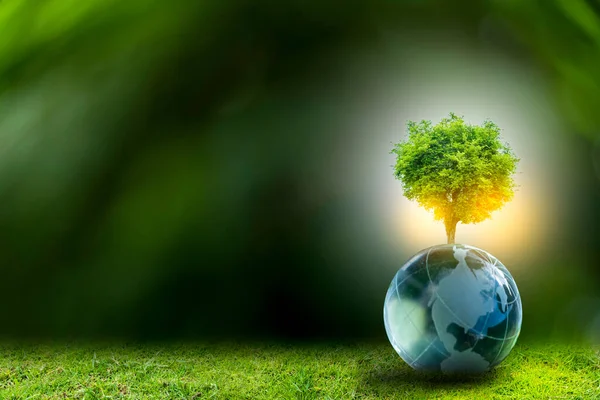 Concetto Energia Rinnovabile Giornata Della Terra Protezione Dell Ambiente Mani — Foto Stock