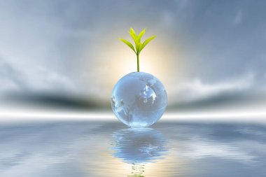 Yenilenebilir enerji konsepti Dünya Günü veya çevre koruma Elleri toprakta yetişen ormanları korur ve dünyayı kurtarmaya yardım eder.