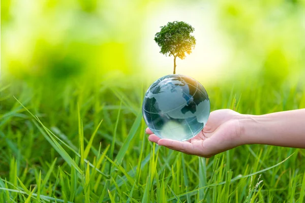 Illustratie Duurzame Energie Concept Earth Day Milieubescherming Bescherm Bossen Die — Stockfoto