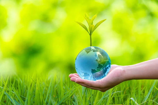 Illustration Renewable Energy Concept Earth Day Environmental Protection Protect Forests — Stock Photo, Image