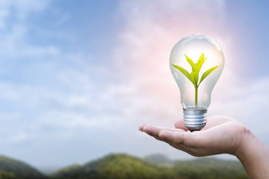 3D illüstrasyon Yenilenebilir Enerji Konsepti Dünya Günü veya çevresel koruma Toprakta yetişen ormanları koruyun ve gezegenin kurtulmasına yardım edin.