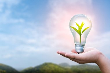 3D illüstrasyon Yenilenebilir Enerji Konsepti Dünya Günü veya çevresel koruma Toprakta yetişen ormanları koruyun ve gezegenin kurtulmasına yardım edin.