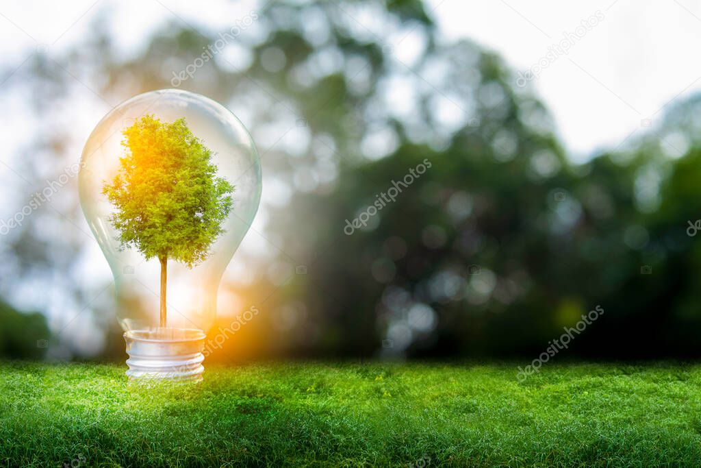 3D illustration Renewable energy concept Earth Day or environmental protection Protect the forests that grow on the ground and help save the planet.