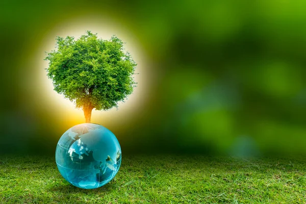 Illustratie Duurzame Energie Concept Earth Day Milieubescherming Bescherm Bossen Die — Stockfoto