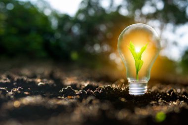 Yenilenebilir enerji konsepti Dünya Günü veya çevre koruma Elleri toprakta yetişen ormanları korur ve dünyayı kurtarmaya yardım eder.