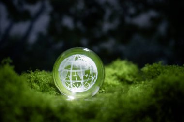 Yenilenebilir enerji konsepti Dünya Günü veya çevre koruma Elleri toprakta yetişen ormanları korur ve dünyayı kurtarmaya yardım eder.