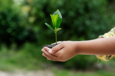 Yenilenebilir enerji konsepti Dünya Günü veya çevre koruma Elleri toprakta yetişen ormanları korur ve dünyayı kurtarmaya yardım eder.