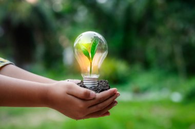 Yenilenebilir enerji konsepti Dünya Günü veya çevre koruma Elleri toprakta yetişen ormanları korur ve dünyayı kurtarmaya yardım eder.