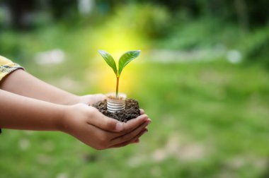 Yenilenebilir enerji konsepti Dünya Günü veya çevre koruma Elleri toprakta yetişen ormanları korur ve dünyayı kurtarmaya yardım eder.