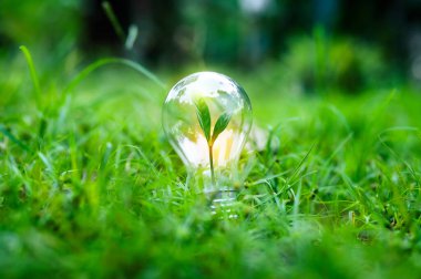 Yenilenebilir enerji konsepti Dünya Günü veya çevre koruma Elleri toprakta yetişen ormanları korur ve dünyayı kurtarmaya yardım eder.