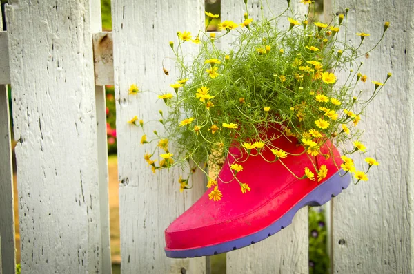 Bota s květem na dvoulůžkového Royalty Free Stock Obrázky
