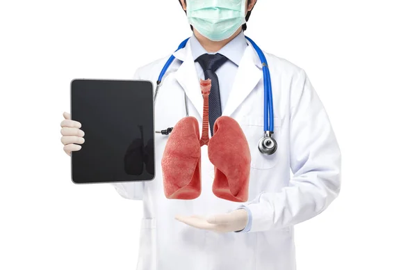 Arzt Mit Tablette Zeigt Atemwege Der Lunge Lungenkrankheiten Konzept — Stockfoto