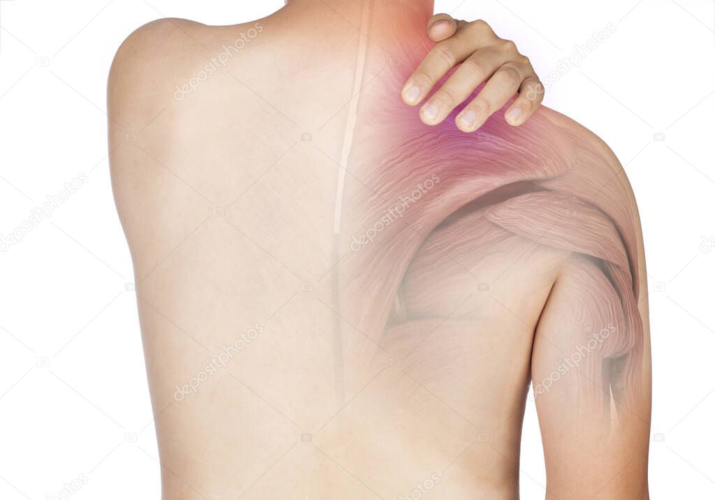 shoulder muscle pain white background shoulder injury