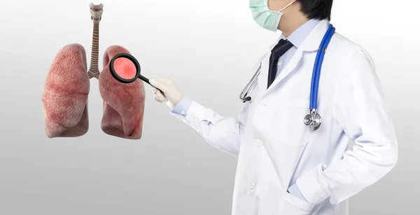 Arzt Untersucht Lungenzellen Und Lungenfunktion — Stockfoto