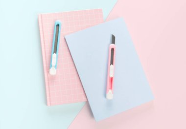 düz pembe ve mavi kitap ve pastel arka planda kesim