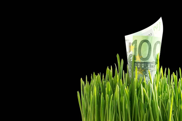 Yeşil çimen ve 100 avroluk banknot siyah arka planda izole edilmiş.