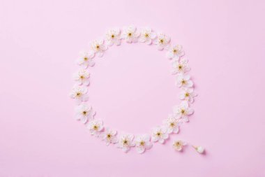 Pembe arka planda kirazlı erikli bahar çiçekleri. Çiçek deseni. Mesajın için yer aç. Çiçek çerçevesi. Düz yatıyordu.