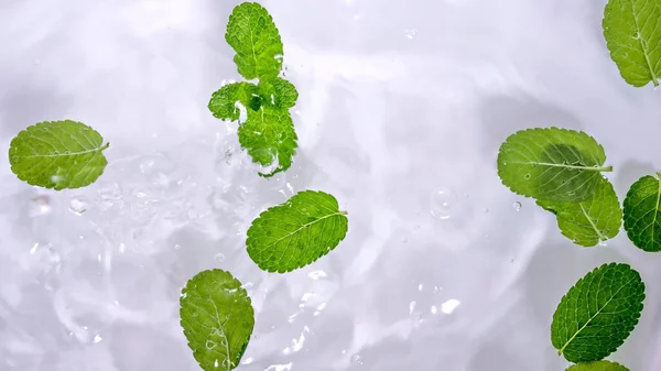 Mynta blad på vattenytan med bubblor och stänk. — Stockfoto