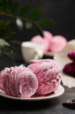 Böğürtlenli doğal elma zephyr. Ev yapımı sağlıklı bir tatlı. Sevdiğine hediye olarak hazırlanmış bir ziyafet..