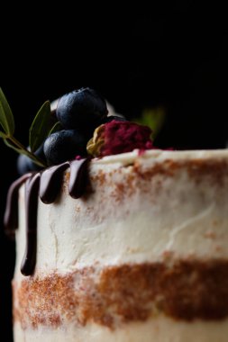 Lezzetli ve güzel el yapımı pasta. Tatil için şekerleme. Taze böğürtlen, yeşil yaprak ve şekerle süslenmiş tatlı..