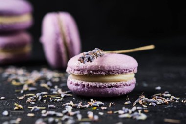 Lezzetli Fransız tatlısı- bademli pasta. Badem unundan yapılmış lavanta aromalı tatlı ve beyaz çikolata ganache ile dolu..
